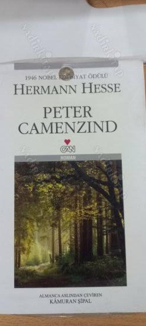 Peter Camenzind - Hermann Hesse