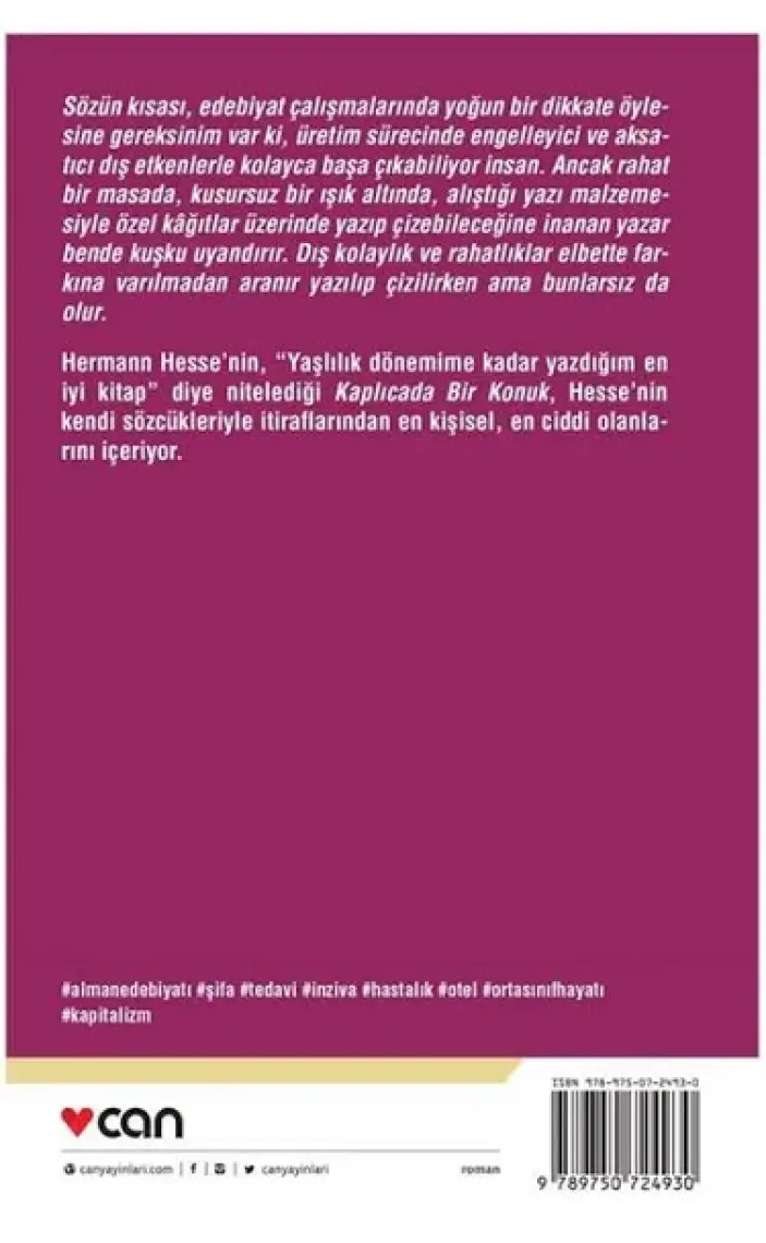 Kaplıcada Bir Konuk - Hermann Hesse