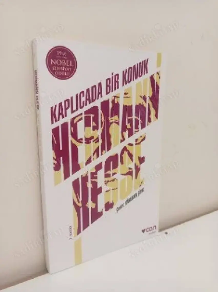 Kaplıcada Bir Konuk - Hermann Hesse