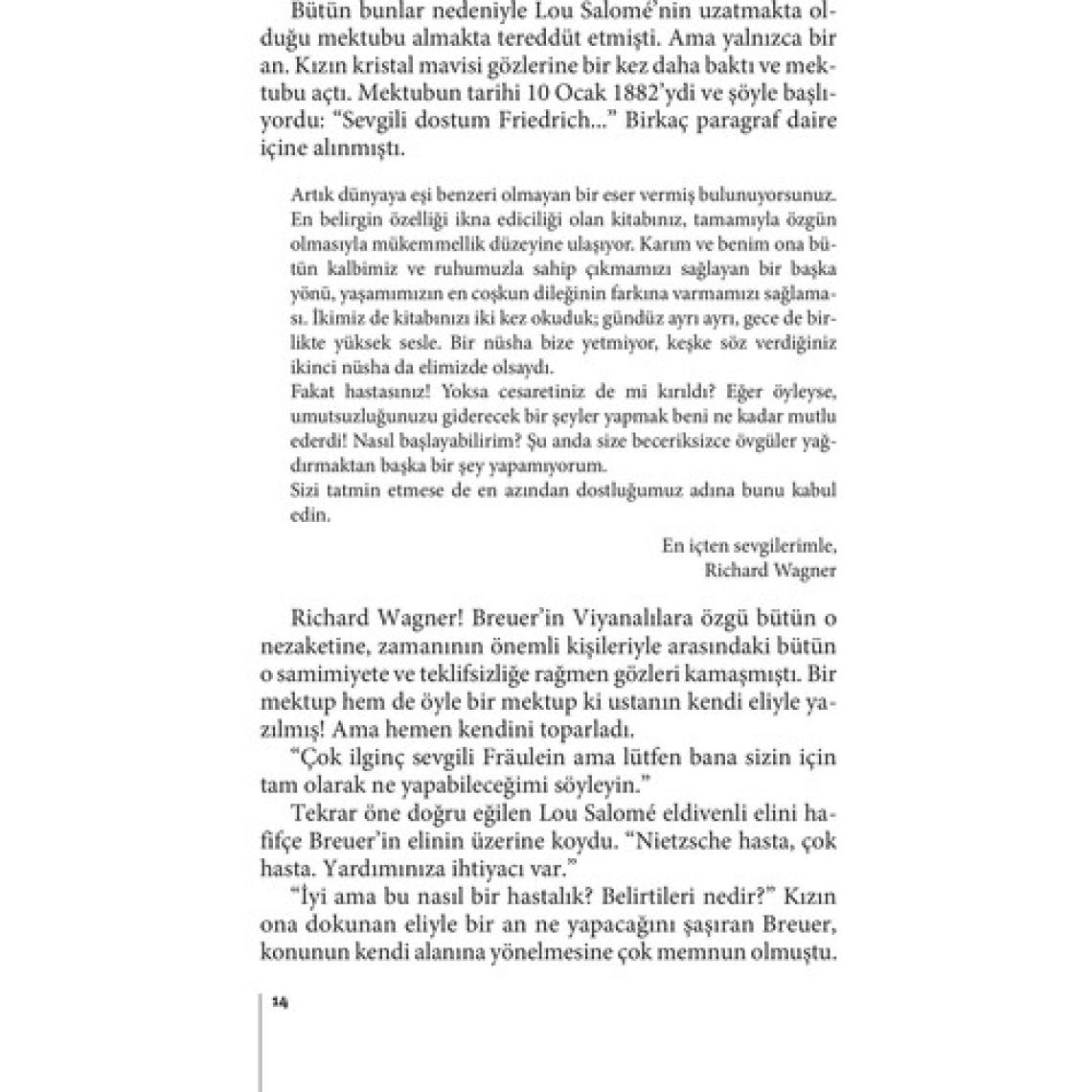 Nietzsche Ağladığında - Irvin D. Yalom