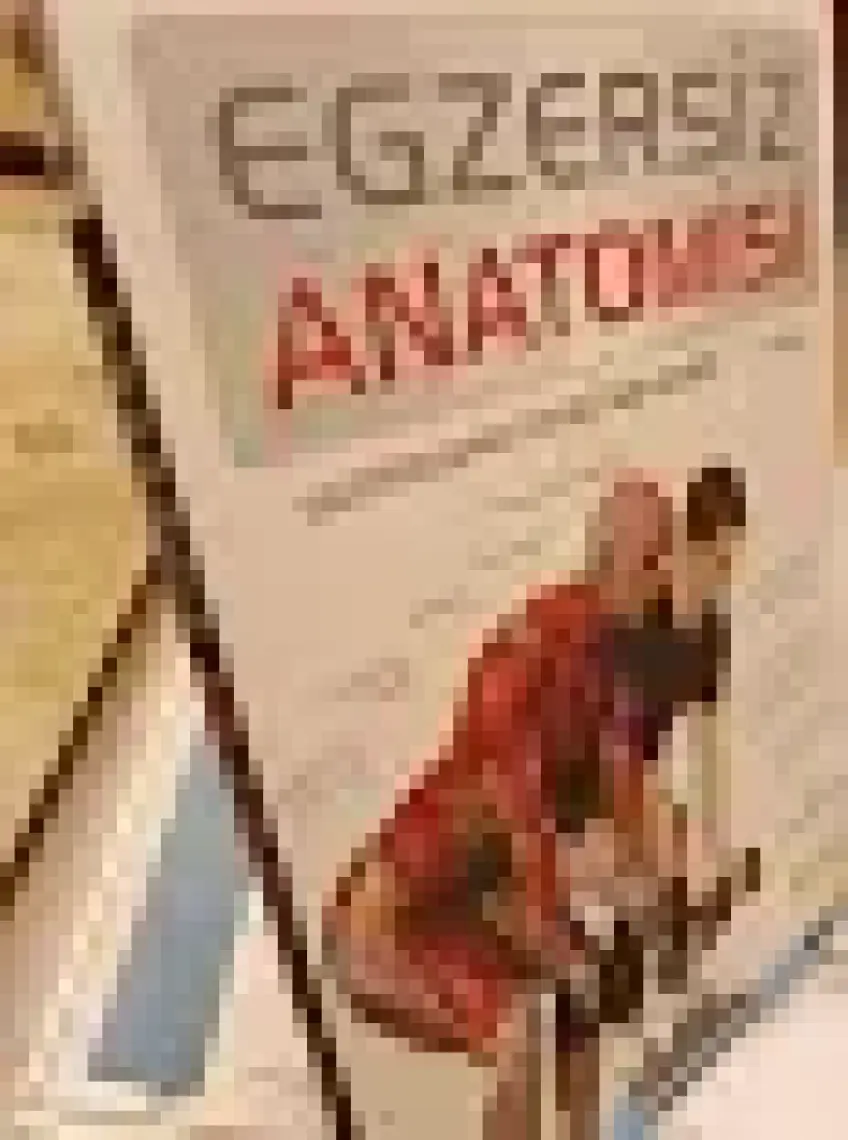 Egzersiz Anatomisi