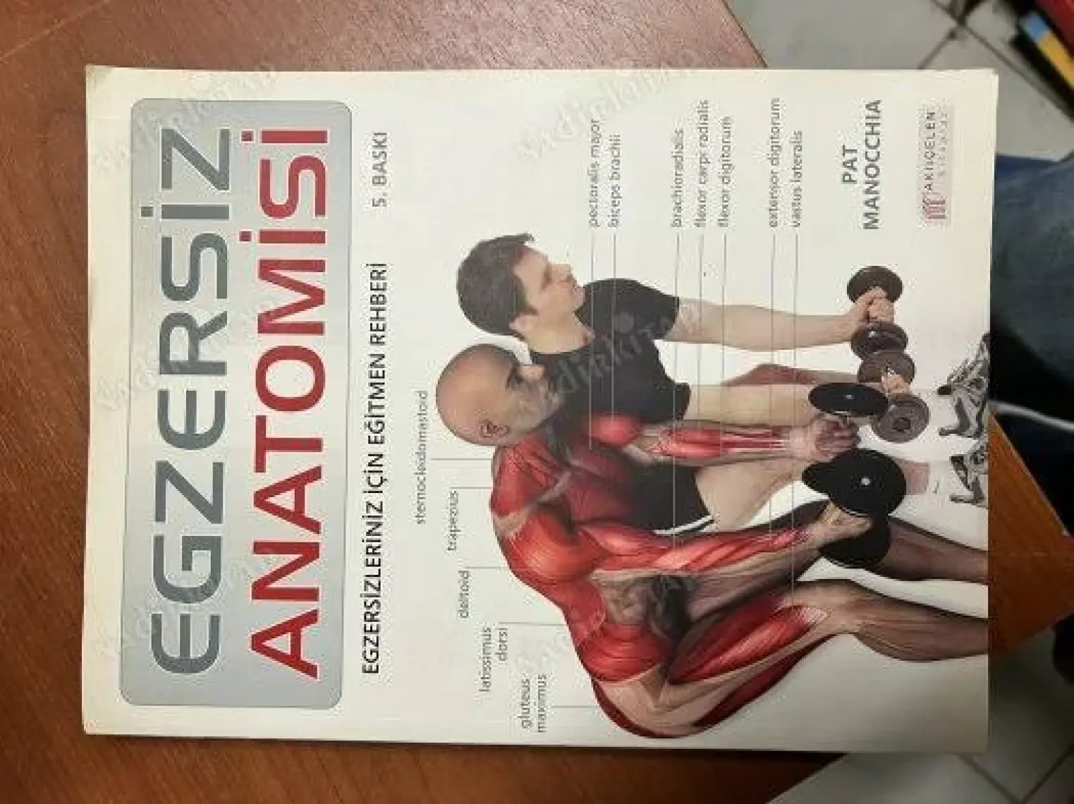 Egzersiz Anatomisi