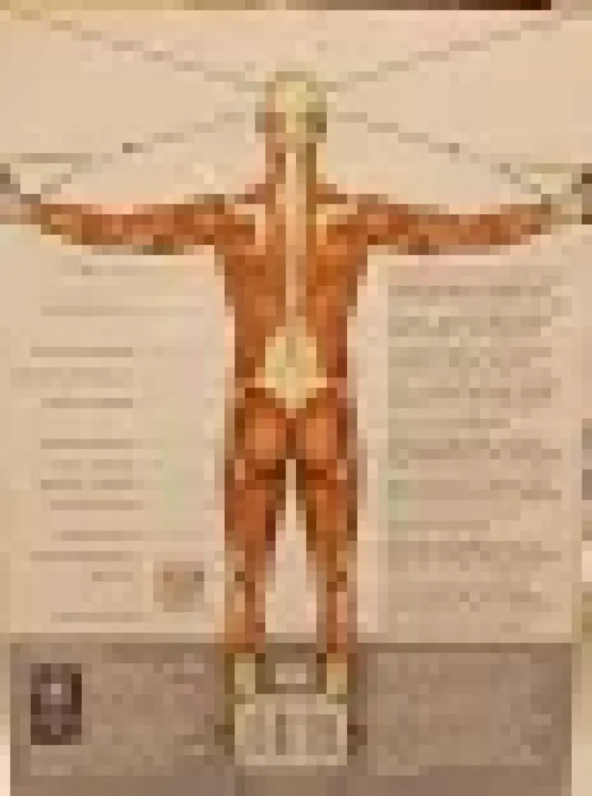 Egzersiz Anatomisi