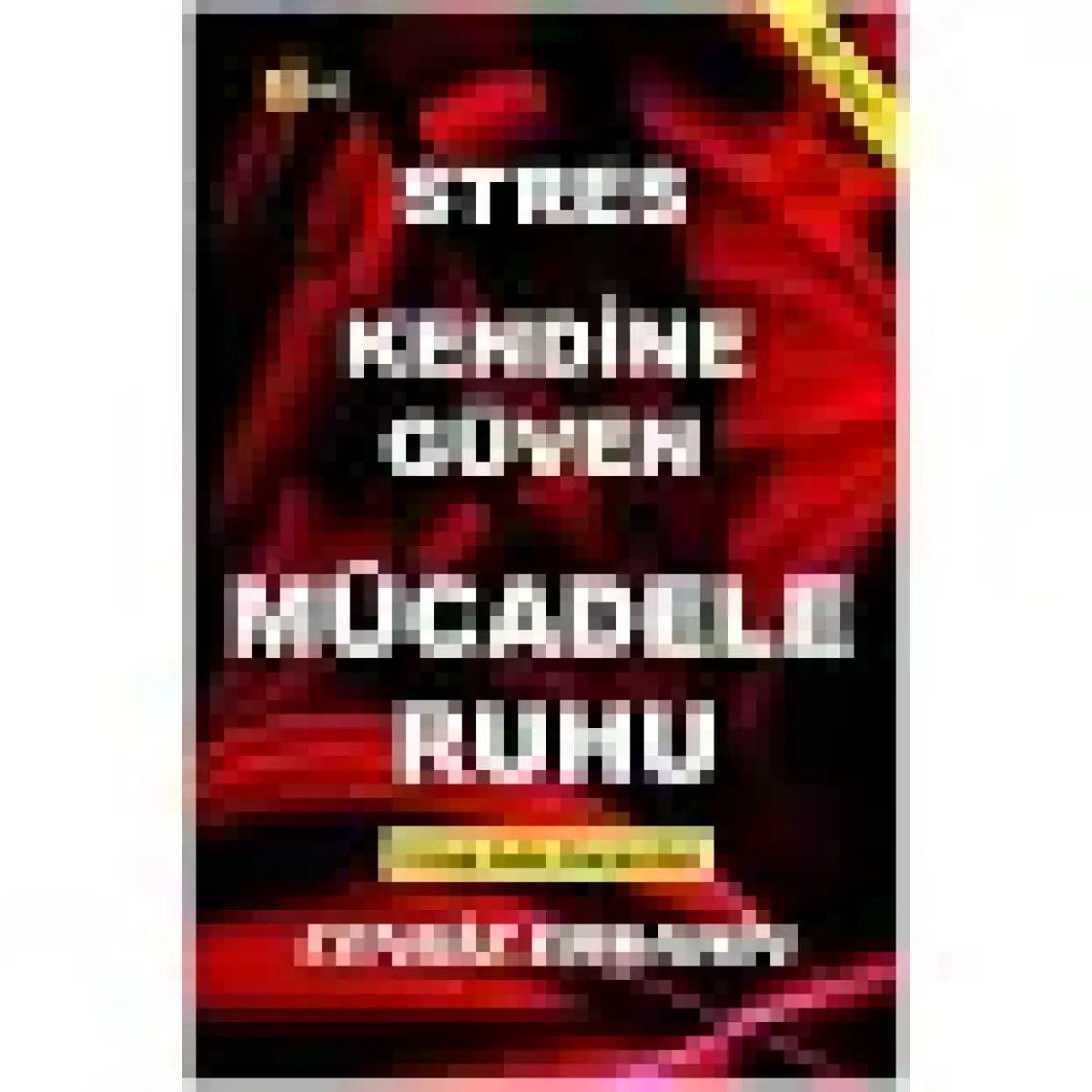Stres Kendine Güven Mücadele Ruhu - Cengiz Erşahin