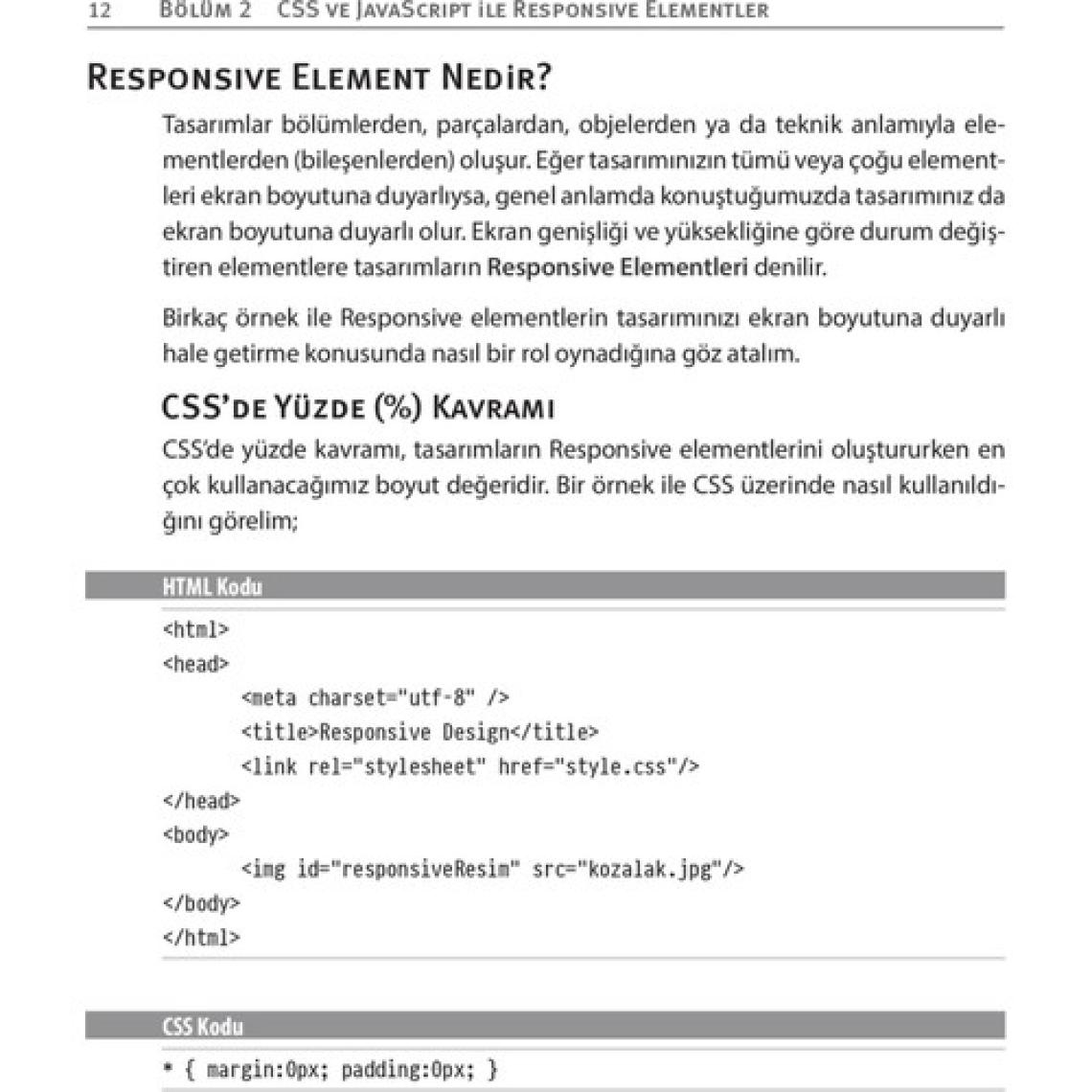Dikeyeksen Yayın Dağıtım Responsive Web Tasarımı Ve Uygulamaları - Burak Tokak