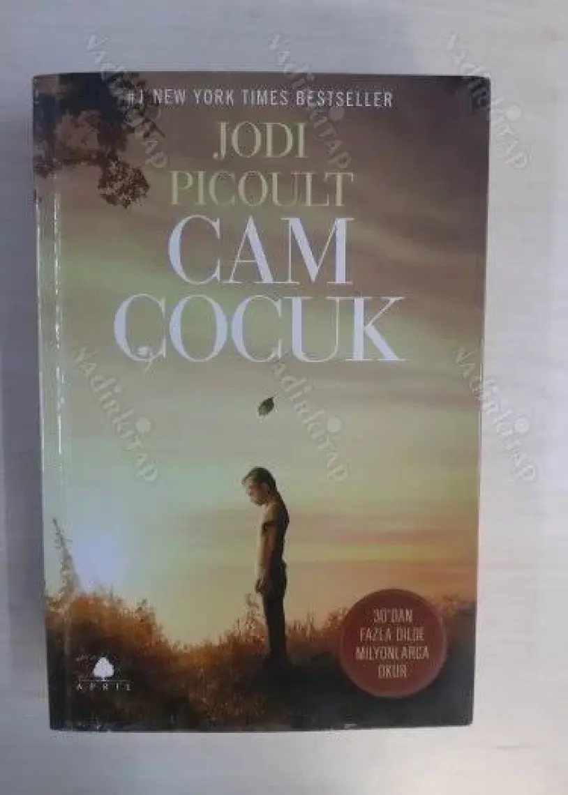 Cam Çocuk - Jodi Picoult