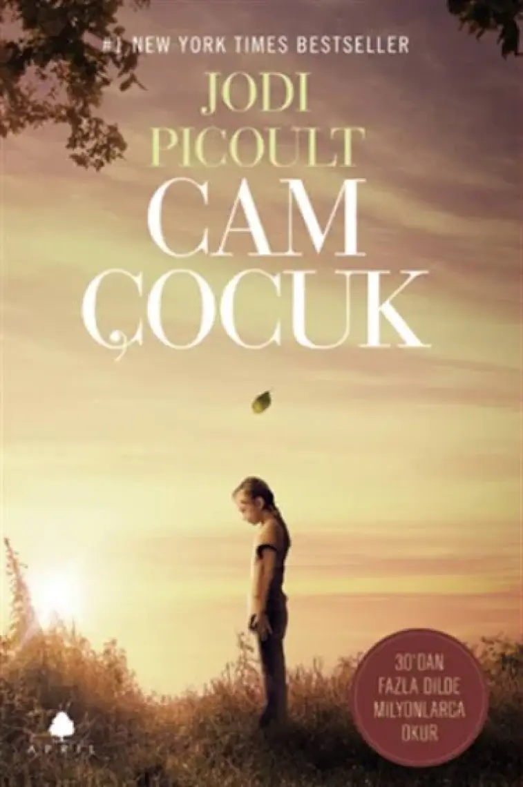 Cam Çocuk - Jodi Picoult