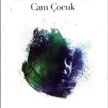 Cam Çocuk - Jodi Picoult