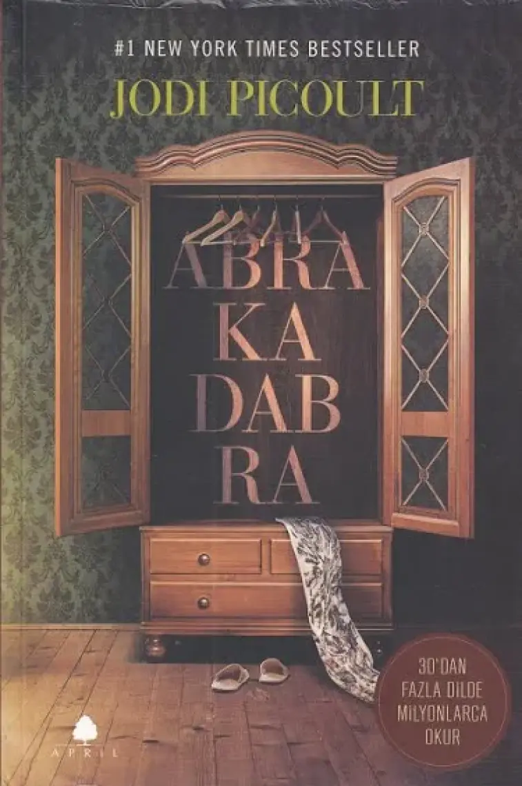 Abra Kadabra - Jodi Picoult