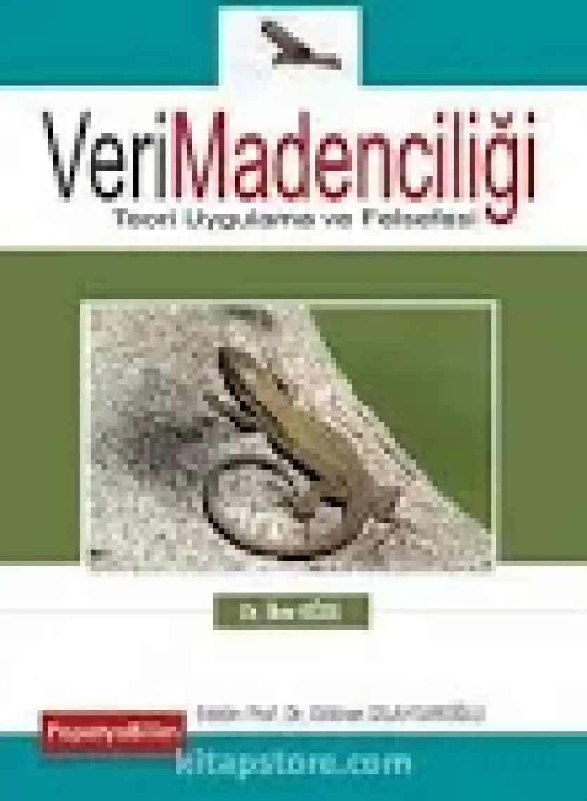 Veri Madenciliği Teori Uygulama ve Felsefesi - İlker Köse
