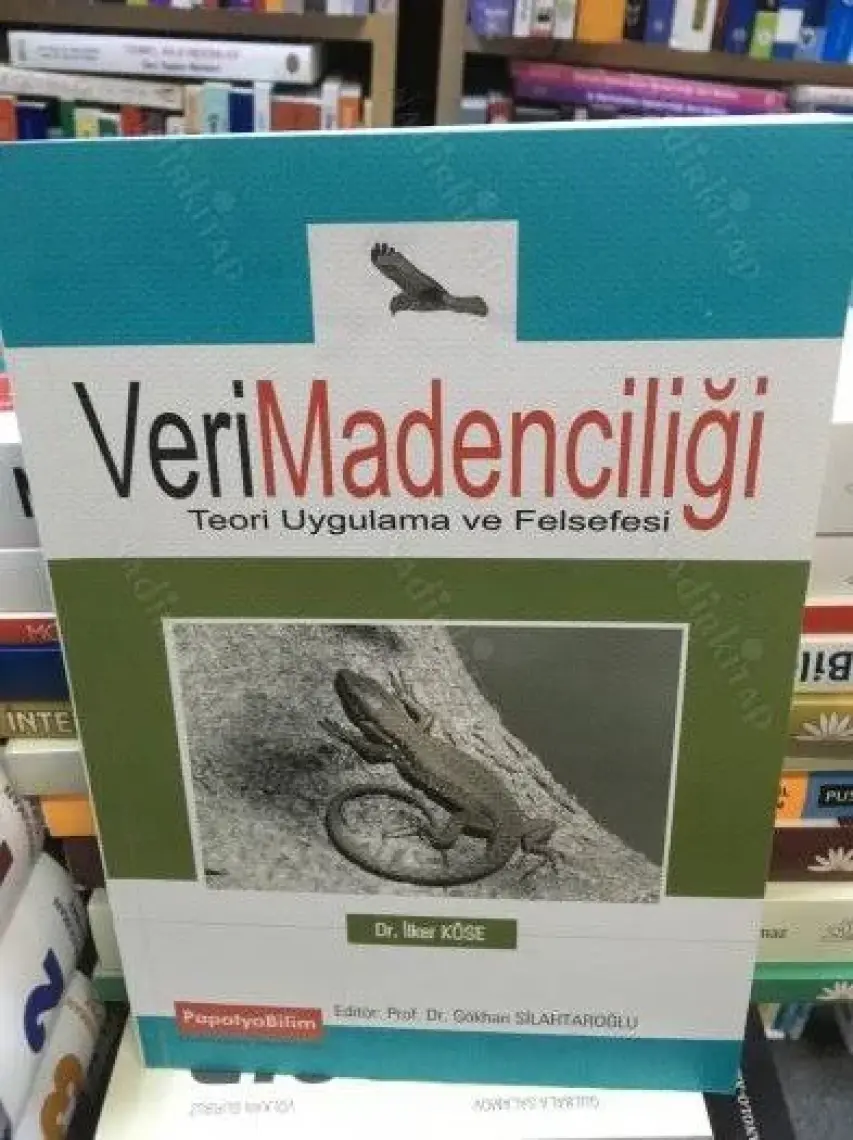 Veri Madenciliği Teori Uygulama ve Felsefesi - İlker Köse