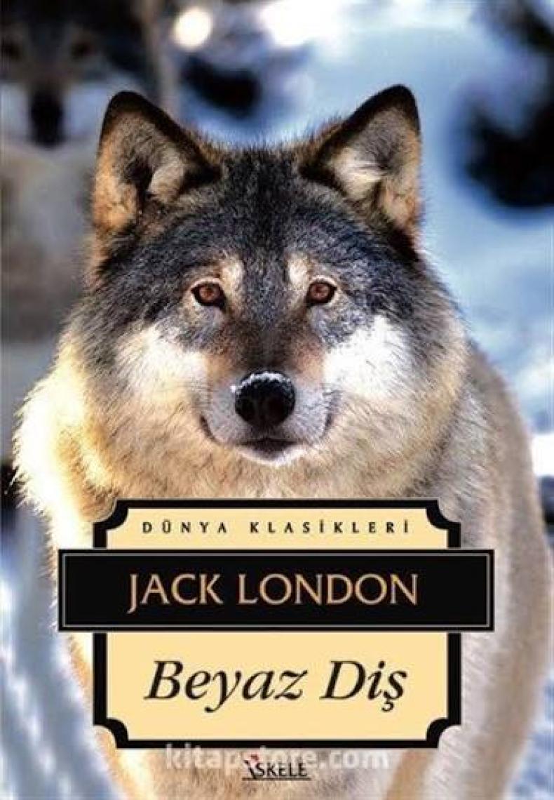 Beyaz Diş - Jack London