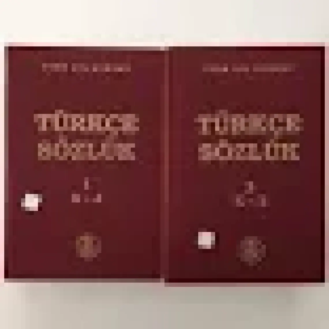 Türk Dil Kurumu Yayınları Türkçe Sözlük (Ciltli)