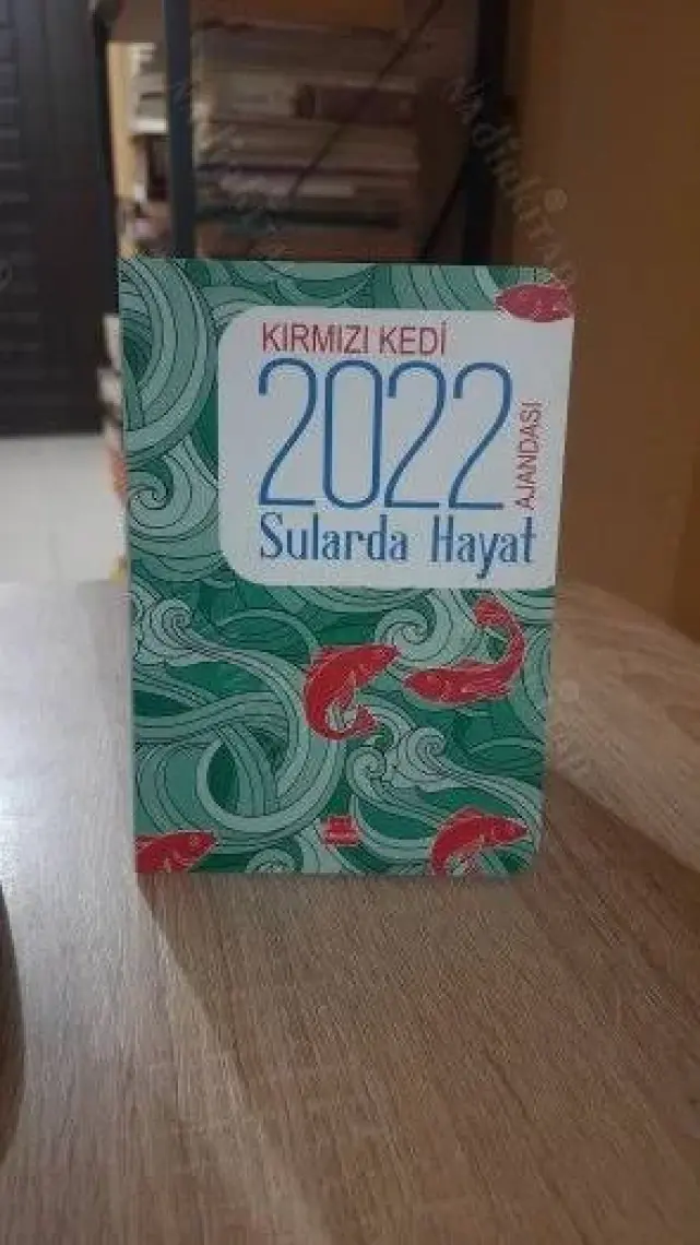 Kırmızı Kedi 2022 Ajandası - Sularda Hayat