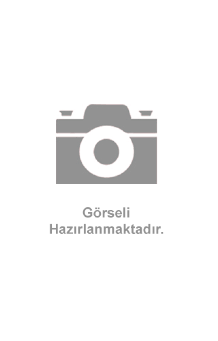 Bilfen Yayınları 8. Sınıf Ingilizce Protest Soru Bankası