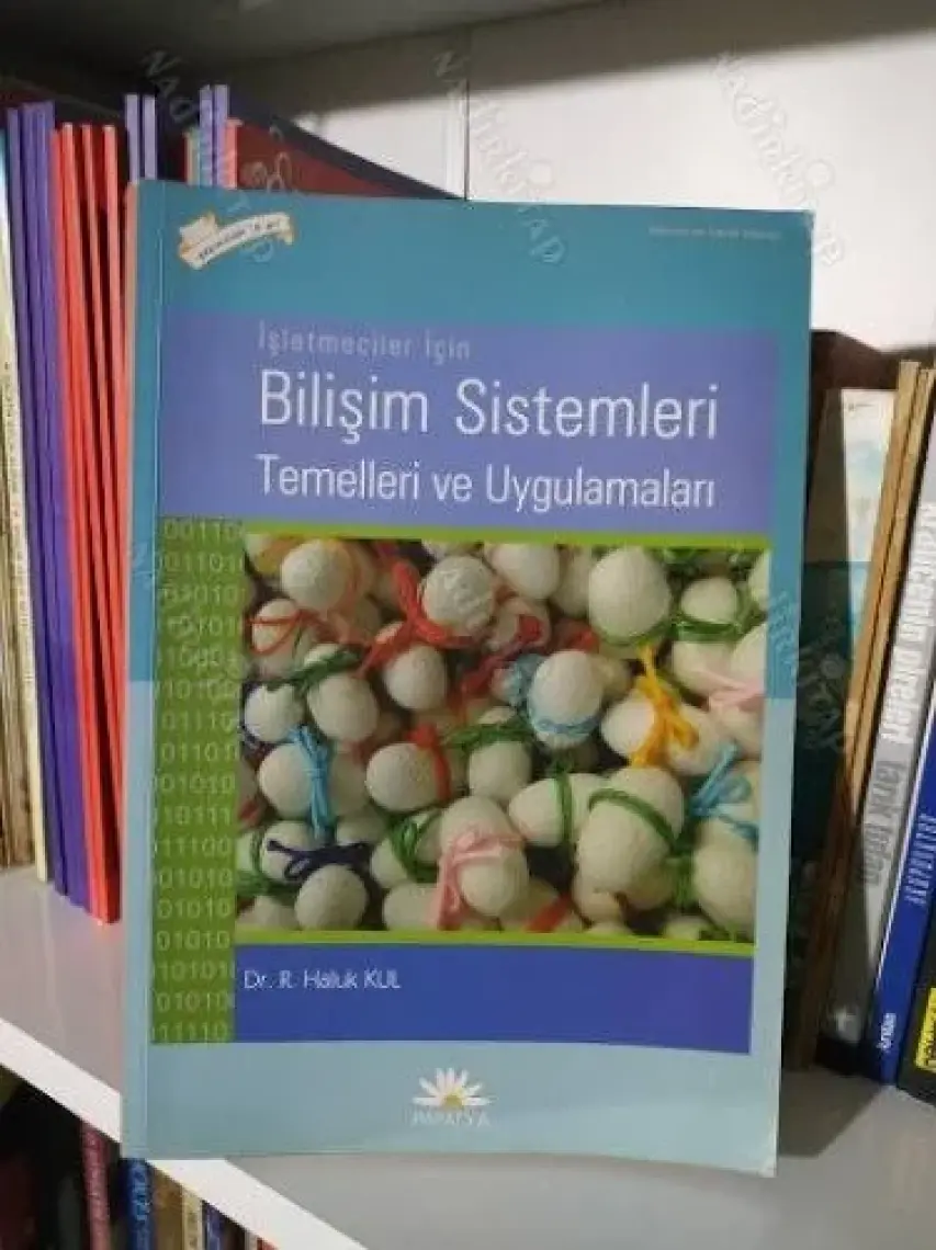 Bilişim Sistemleri Temelleri ve Uygulamaları - Haluk Kul