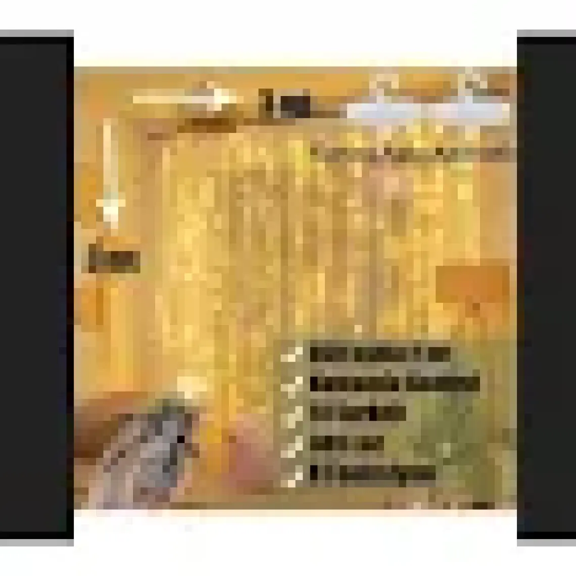 Sge Teknoloji  3x3 Metre 300 LED Kumandalı LED Perde Işığı Peri LED