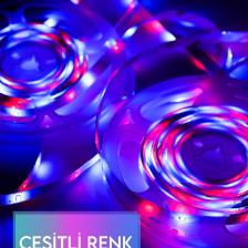 Ctn Rgb Ledon Şerit LED 5 Metre Kumandalı Animasyonlu