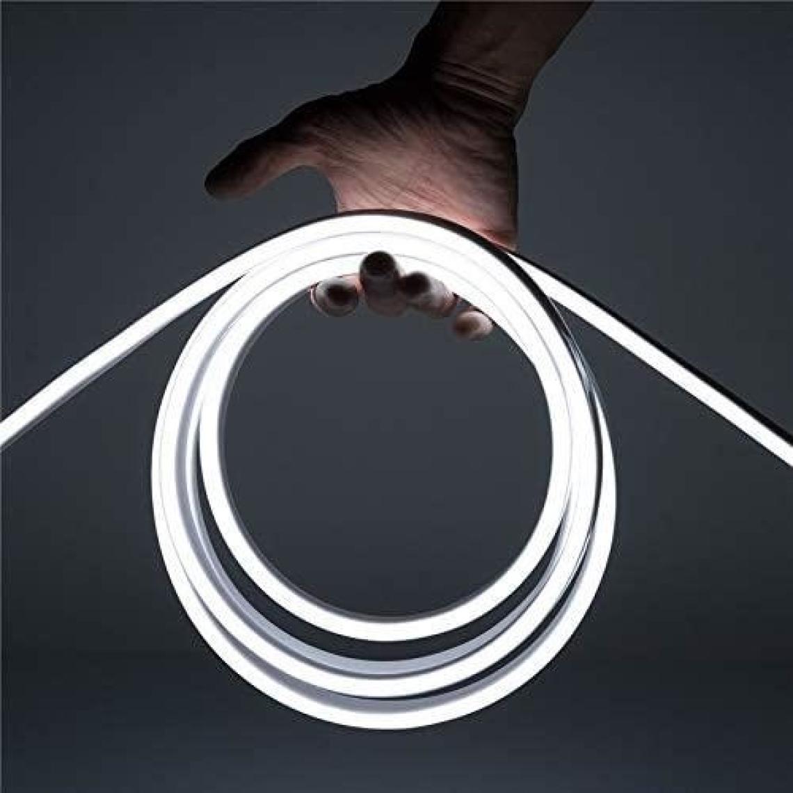 Neon Hortum Işık LED Şerit Aydınlatma 220 Volt Fiş Dahil Gün Işığı 2 M