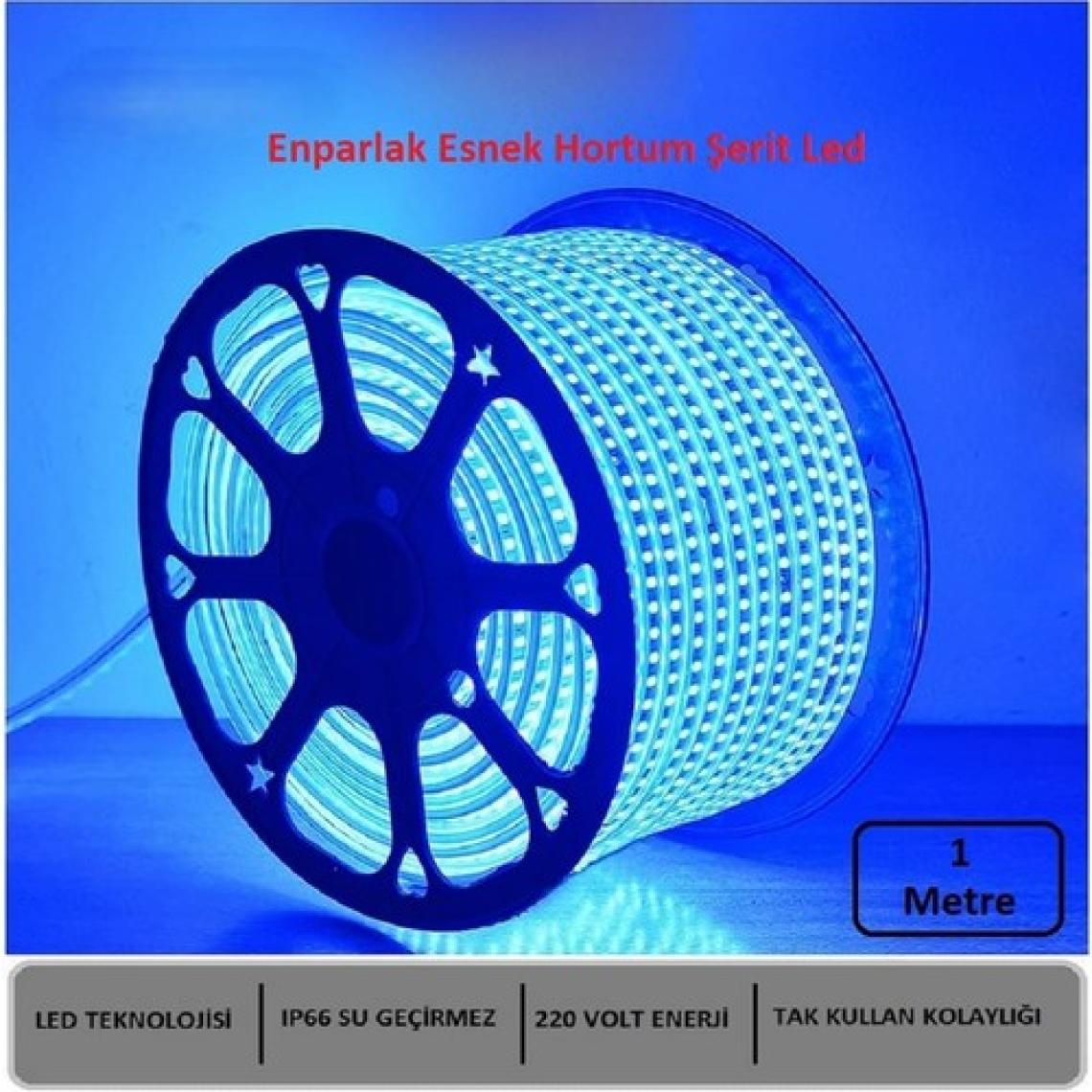Hortum Esnek Şerit LED Mavi Işık 220V Fış/1,2,3,4,5,7,10,15,20,25,30 Metre