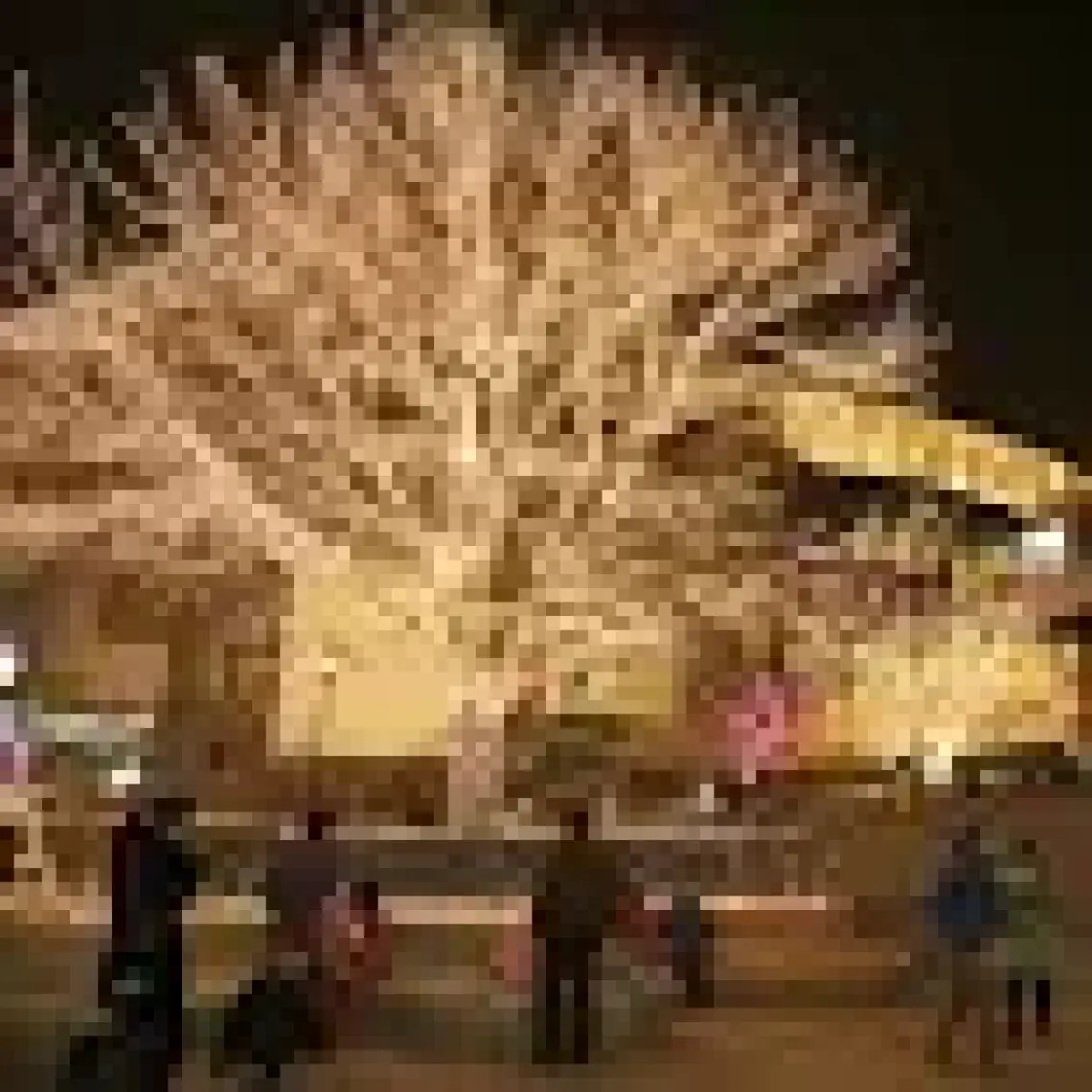 Epazzar 100 Ledl Pilli LED Işık Dekoratif LED Işık Zinciri Gün Işığı LED