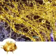 Epazzar 100 Ledl Pilli LED Işık Dekoratif LED Işık Zinciri Gün Işığı LED