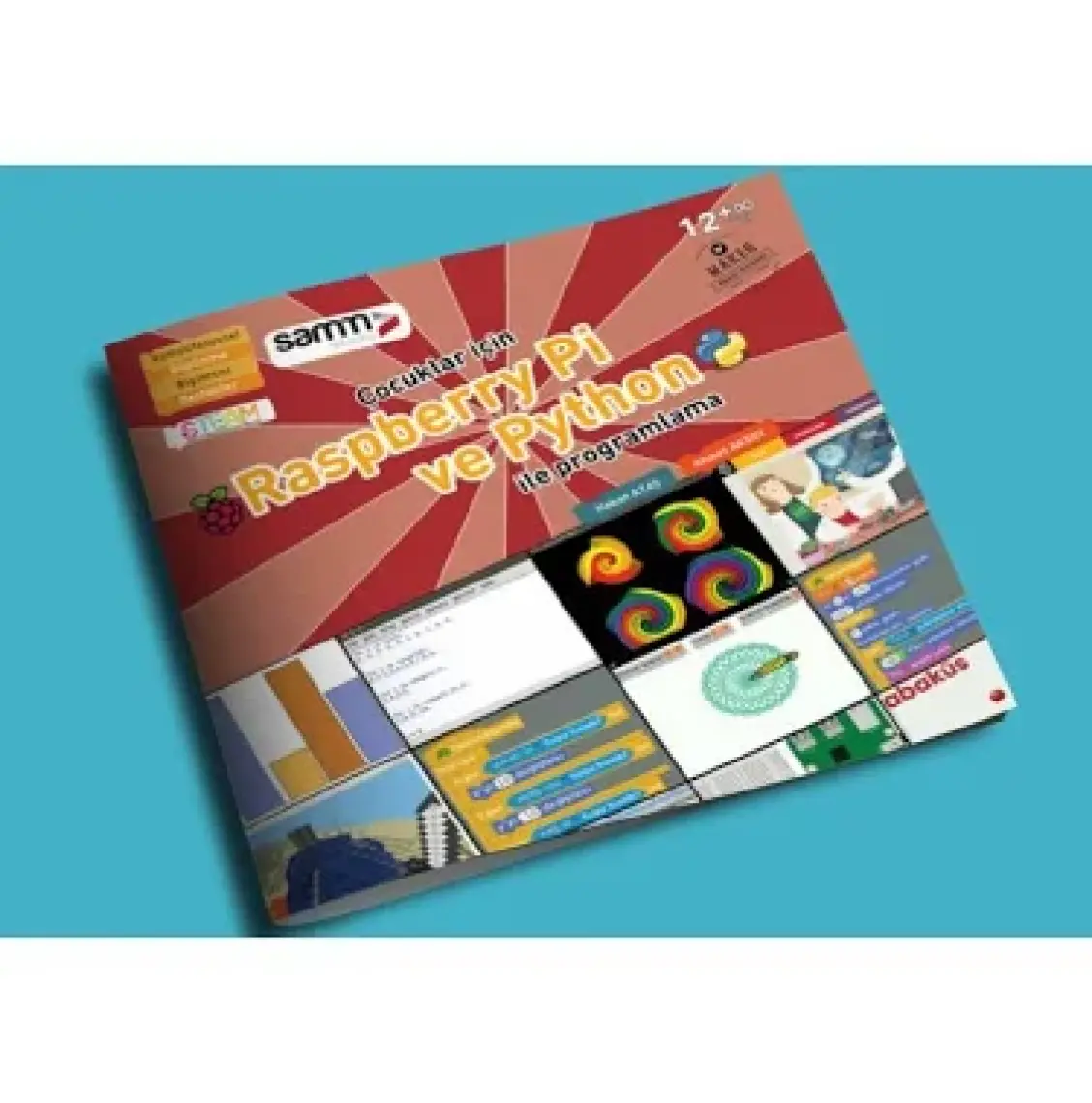 Çocuklar İçin Raspberry Pi ve Python ile Programlama