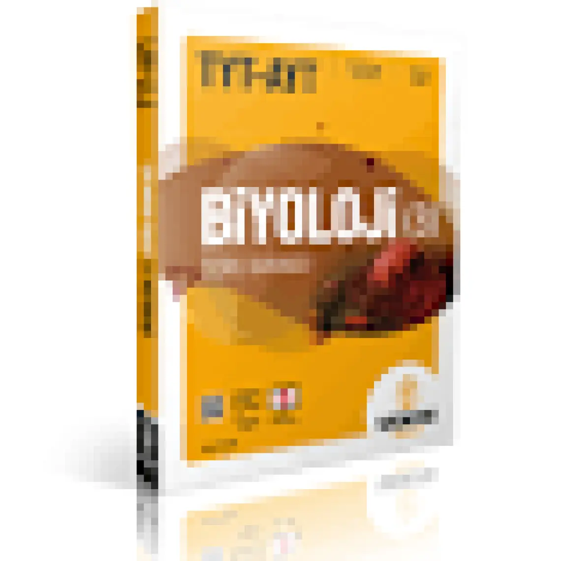 Madalyon TYT- AYT Biyoloji B Soru Bankası