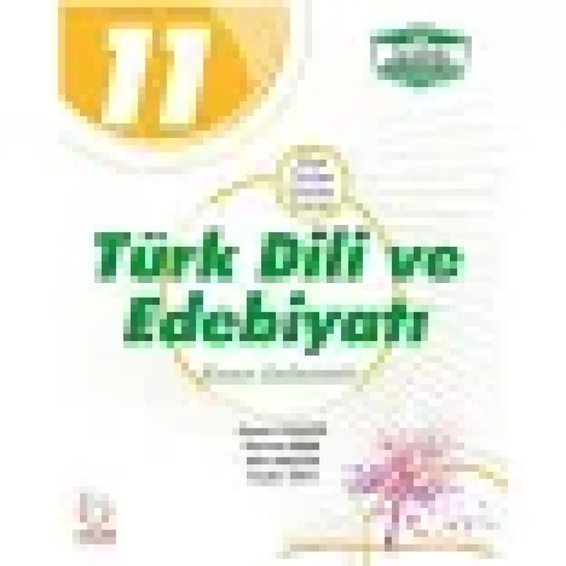 Palme Yayıncılık 11. Sınıf Türk Dili ve Edebiyatı Konu Anlatımlı