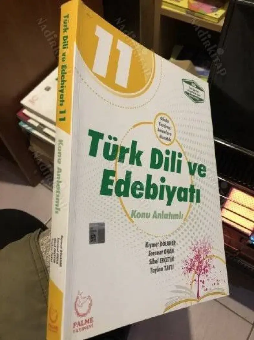 Palme Yayıncılık 11. Sınıf Türk Dili ve Edebiyatı Konu Anlatımlı