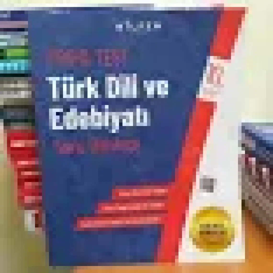 Bilfen Yayınları 10. Sınıf Pro&Test Türk Dili ve Edebiyatı Soru Bankası