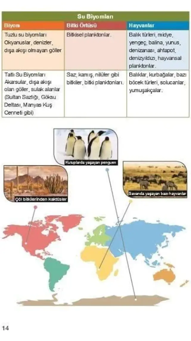 Yayın Denizi Yayınları AYT Coğrafya Tek Serisi Konu Anlatımı Cep Kitabı