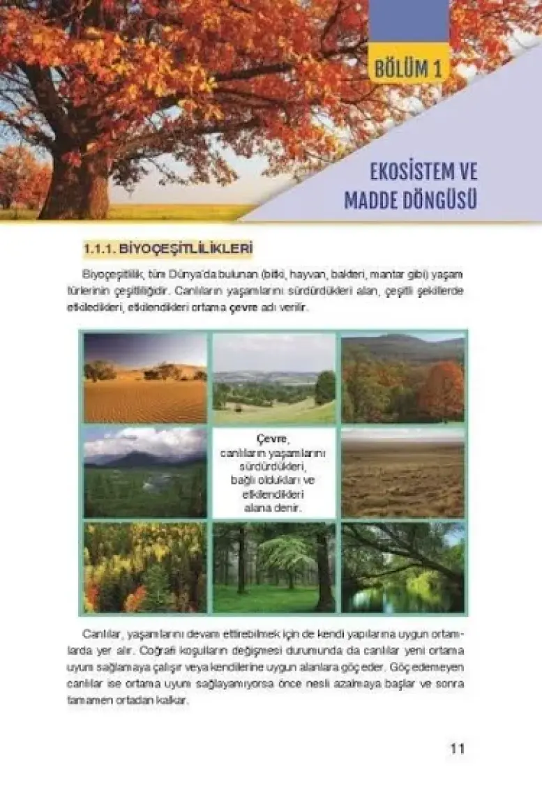 Yayın Denizi Yayınları AYT Coğrafya Tek Serisi Konu Anlatımı Cep Kitabı
