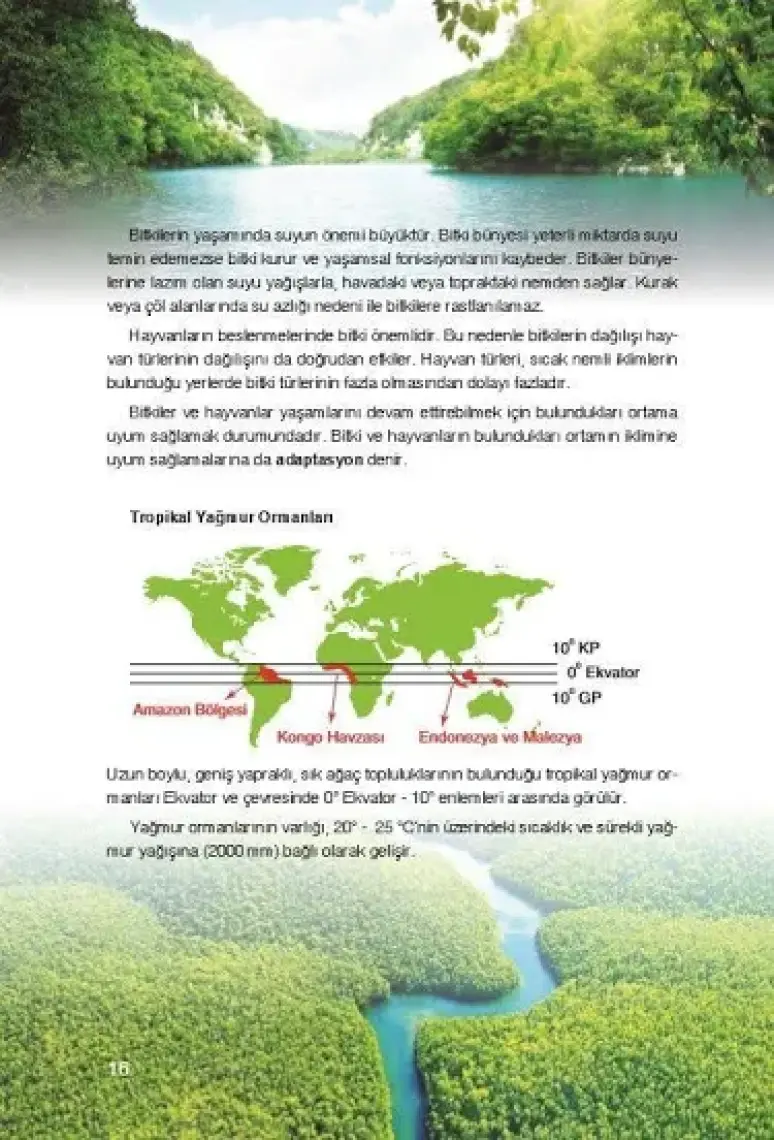 Yayın Denizi Yayınları AYT Coğrafya Tek Serisi Konu Anlatımı Cep Kitabı