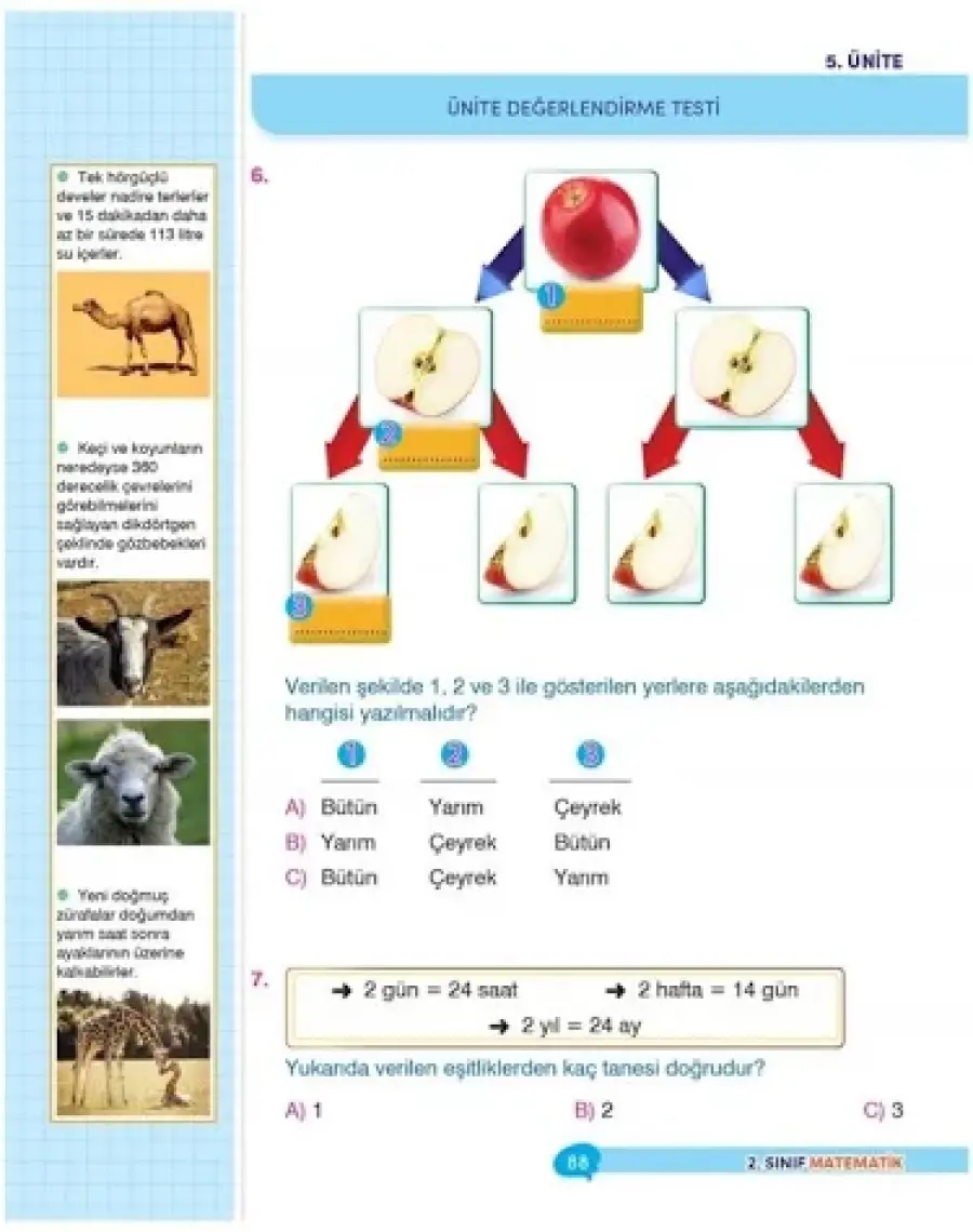 2.Sınıf İpuçlu Matematik Yeni Nesil Soru Bankası