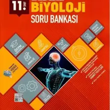 Tyt Felsefe Analitik Konu Anlatımı