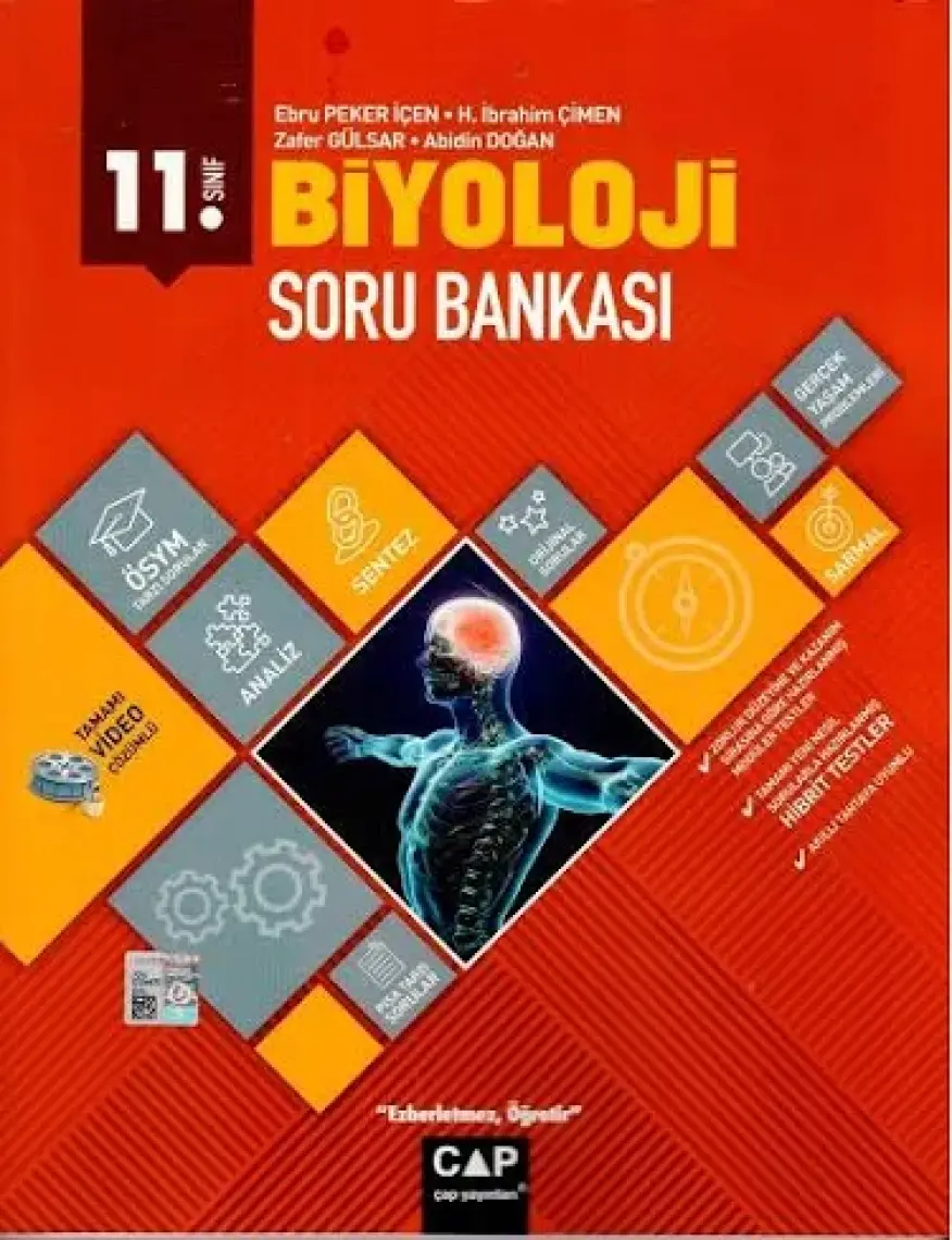 Tyt Felsefe Analitik Konu Anlatımı