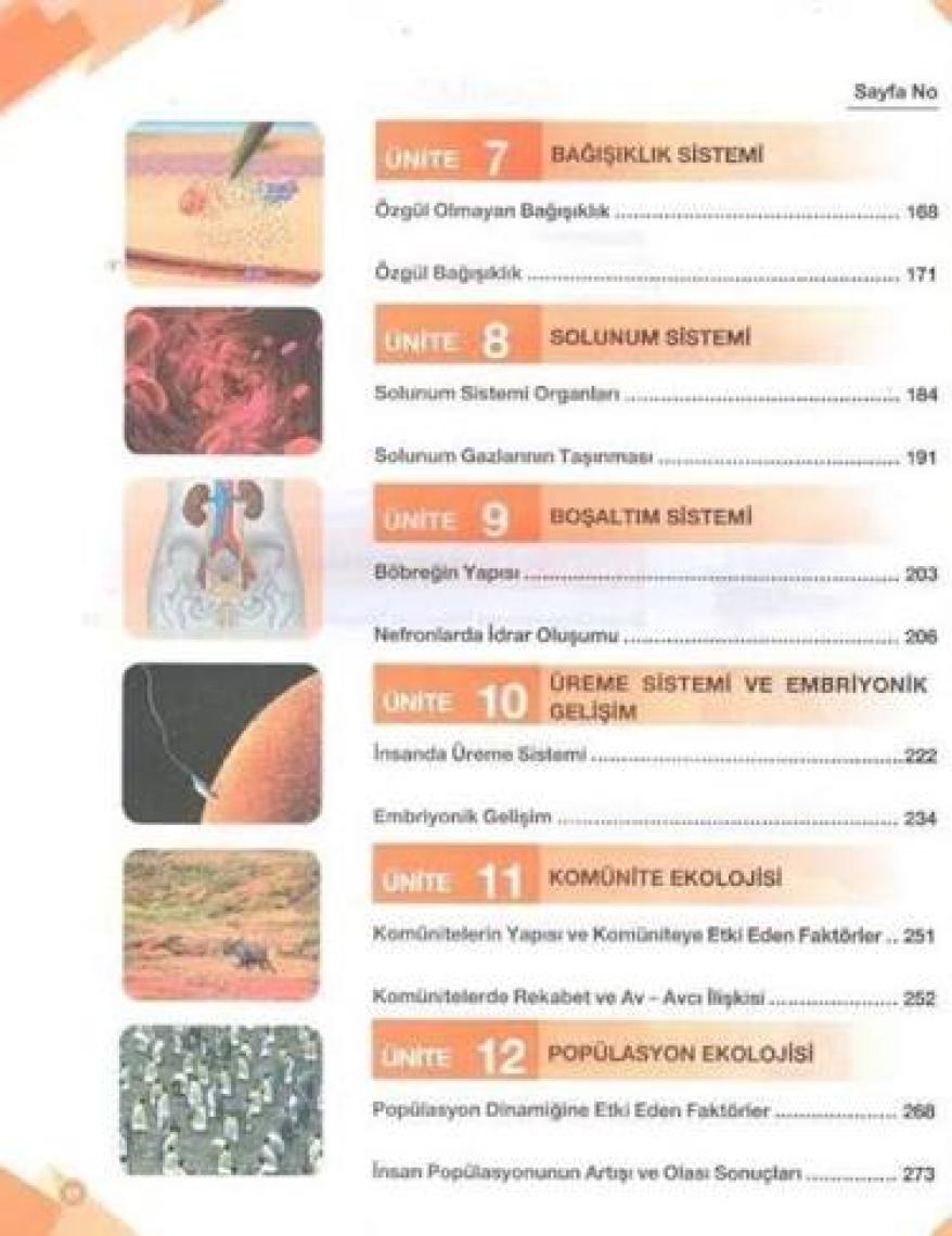 Palme Yayıncılık 11. Sınıf Biyoloji Konu Anlatımlı
