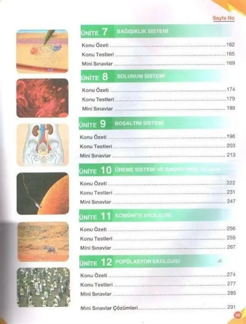 Palme Yayıncılık 11. Sınıf Biyoloji Soru Kitabı