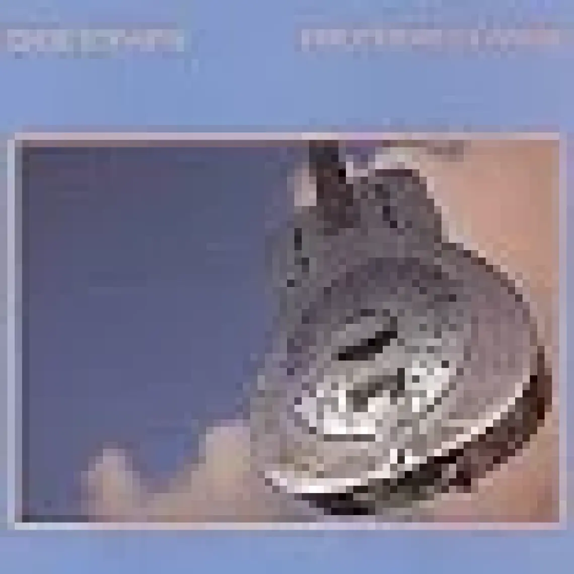 Dire Straits- Brothers In Arms (Half Speed Master Ing) (2 Lp) - Plak