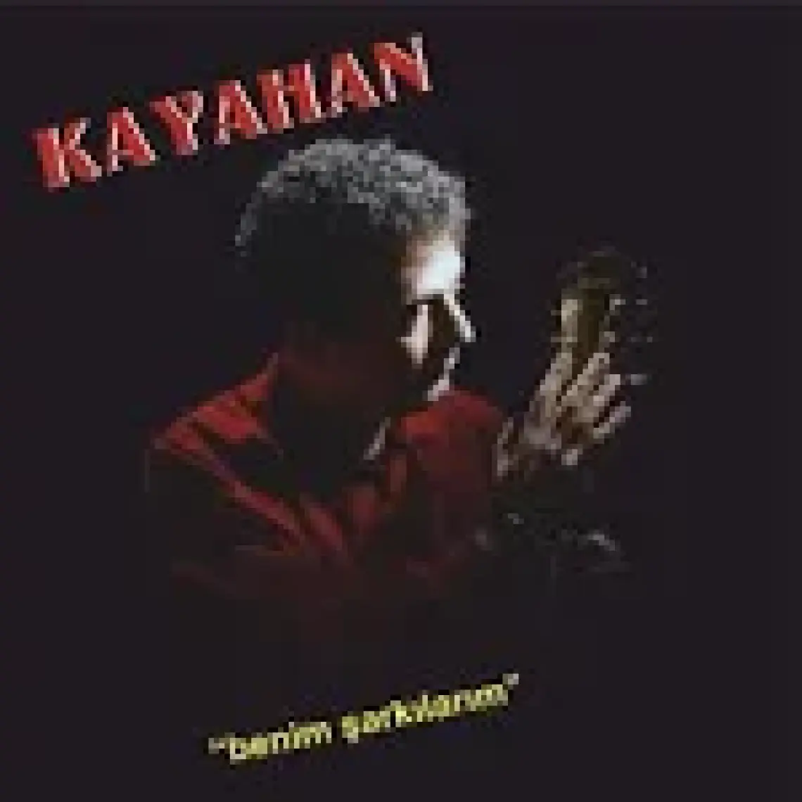 Kayahan - Benim Şarkılarım (Plak)