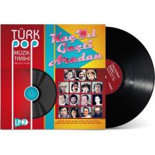 Türk Pop Müzik Tarihi 1960-70'li Yıllar Vol:2 - ( Plak )