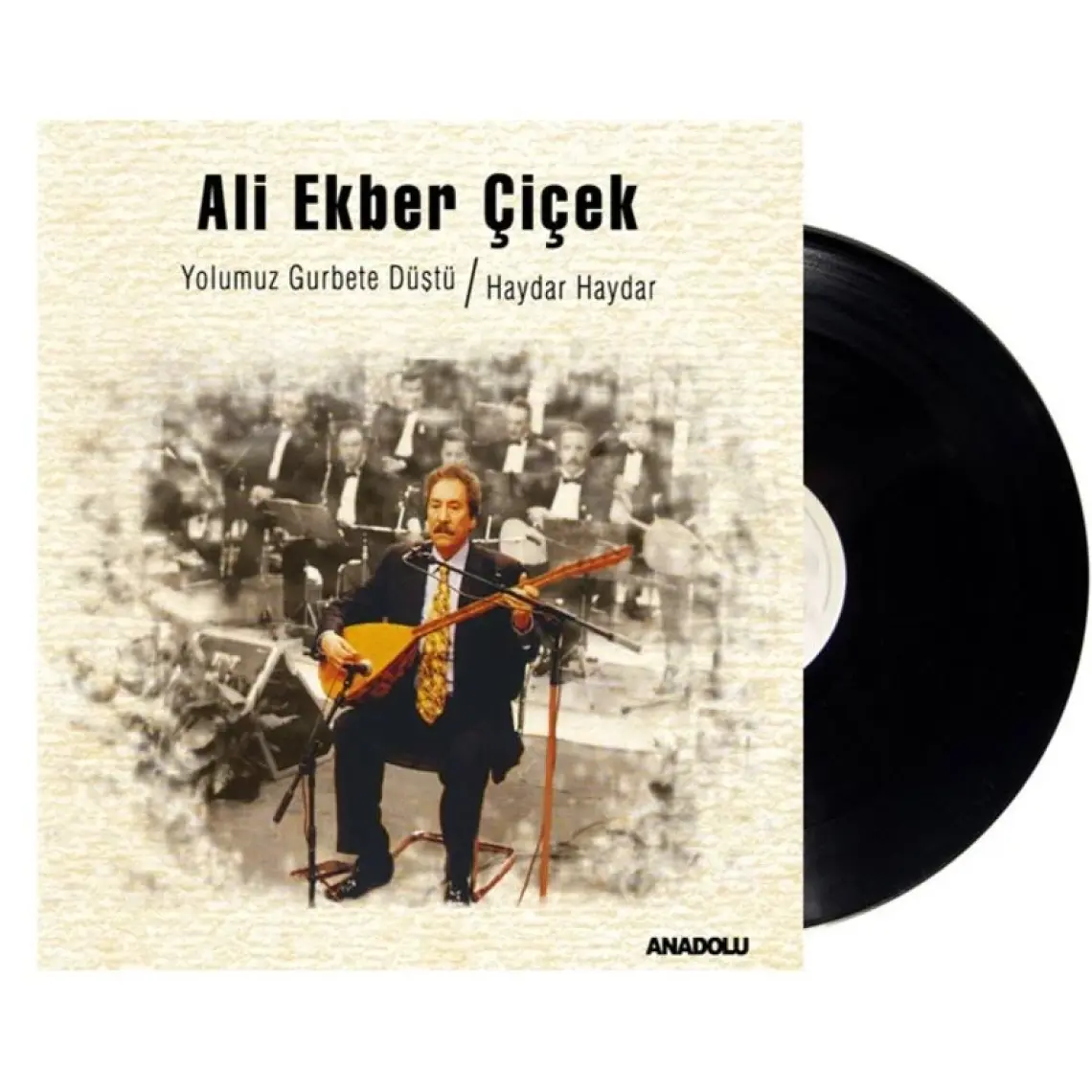 Ali Ekber Çiçek - Yolumuz Gurbete Düştü / Haydar Haydar (Plak)