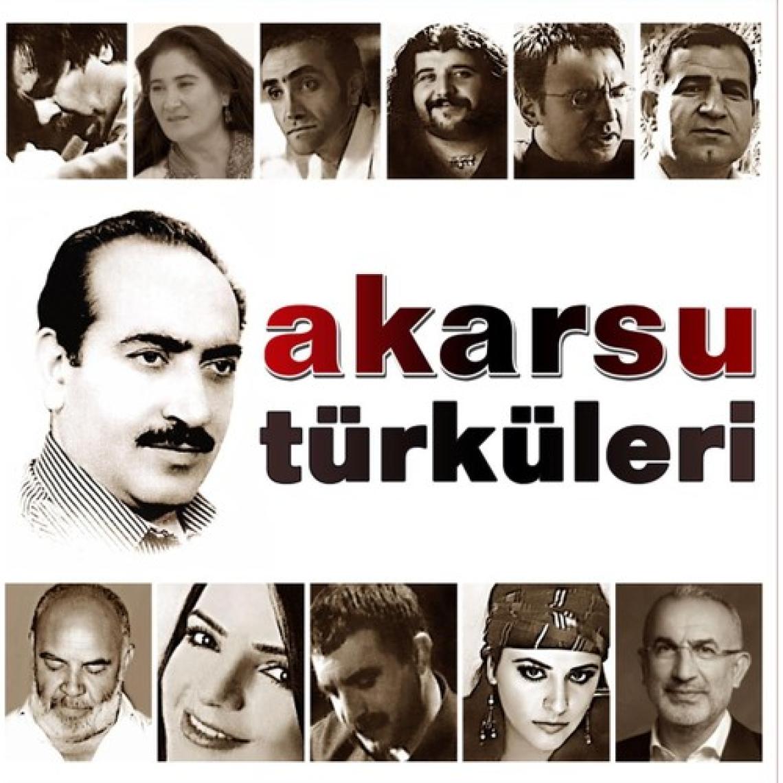 Akarsu Türküleri- Çeşitli Sanatçılar - Plak