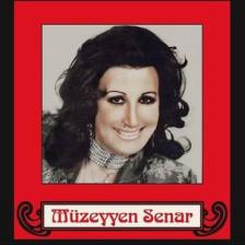 Coşkun Plak - Müzeyyen Senar-Akşam Oldu Hüzünlendim Ben Yine ( Plak )