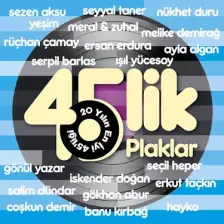 45'lik Plaklar - 20 Yılın En İyi 45'liği (Plak)