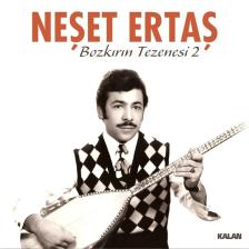 Neşet Ertaş - Bozkırın Tezenesi - 2 / Lp