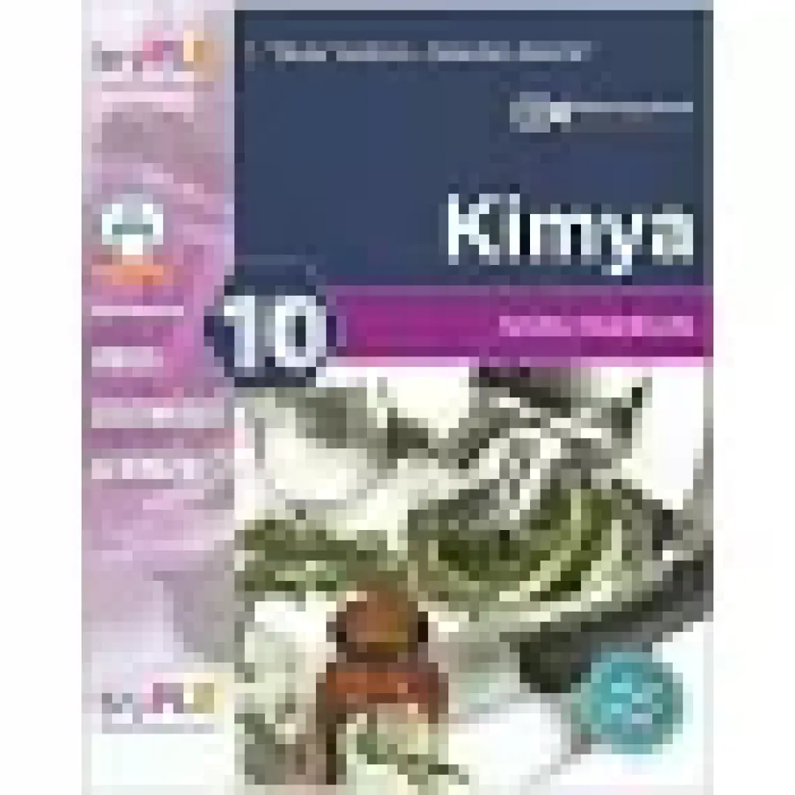 Bry Birey Eğitim Yayınları PLE 10. Sınıf Kimya Soru Bankası
