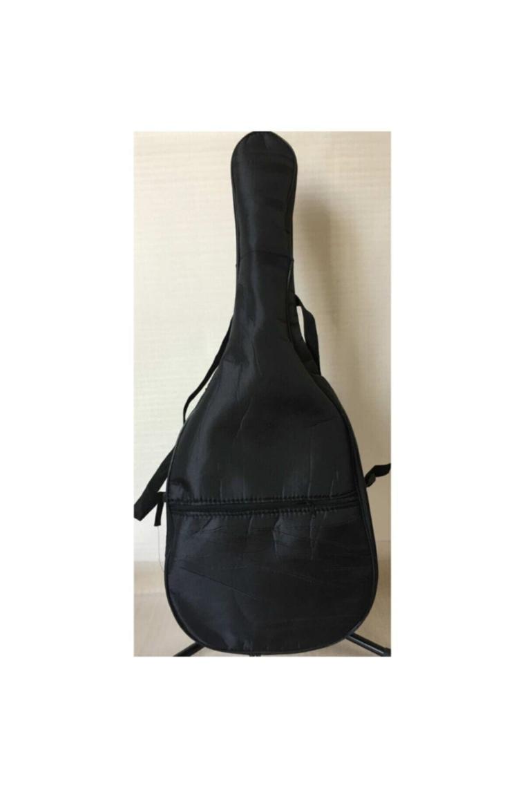 Ad810op Akustik Gitar