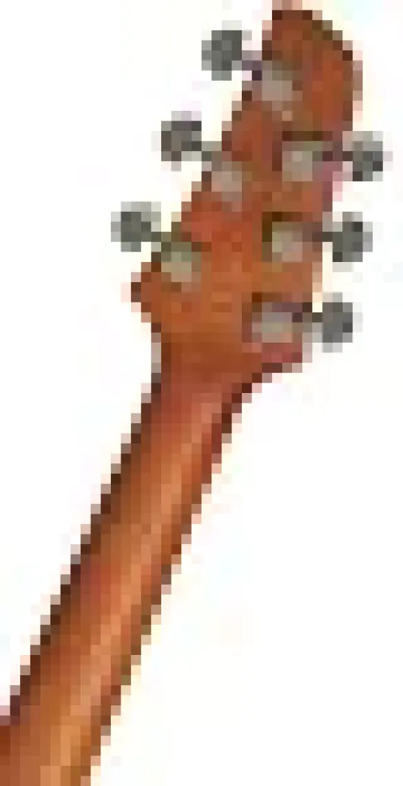 Ibanez Tcy12E - Opn Elektro Akustik Gitar Kılıf